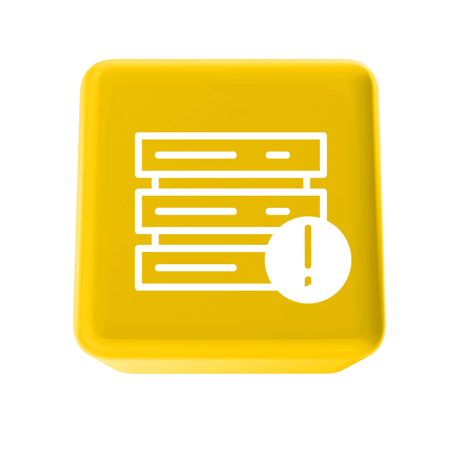 Custom SW Development_Server Management _ Monitoring