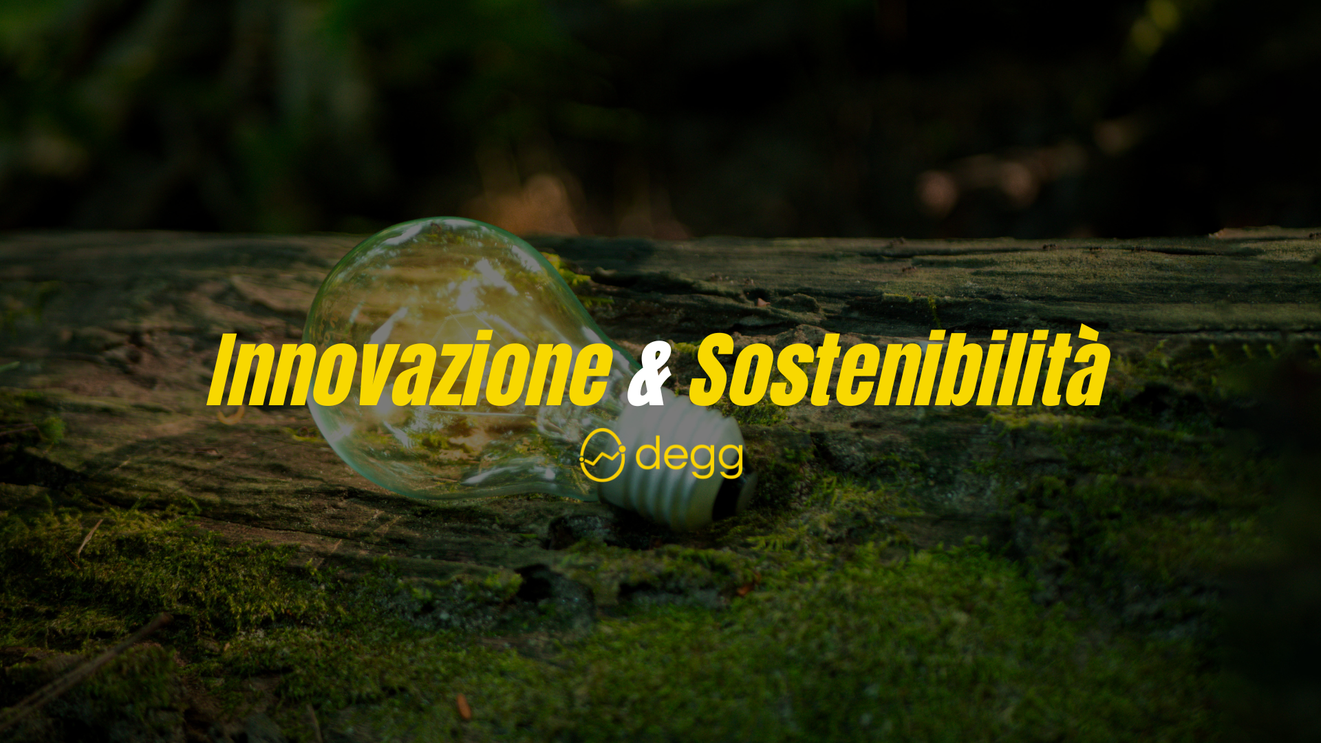 L’innovazione sostenibile come (1)