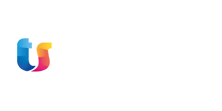Logo_team system