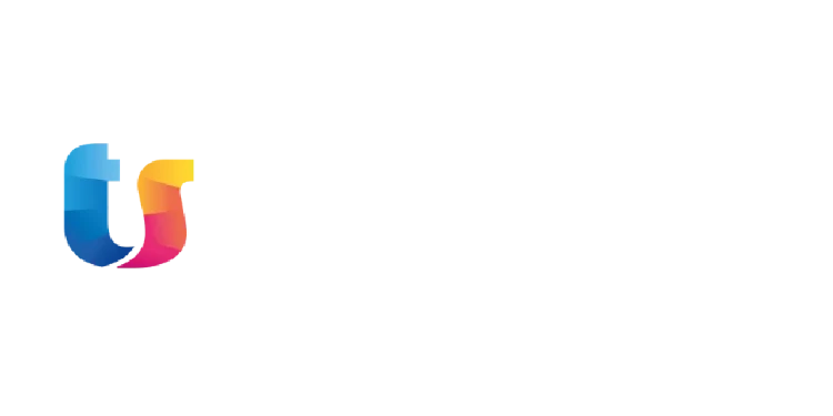 Logo_team system